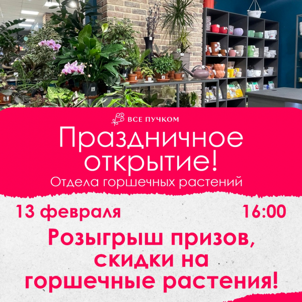 Друзья, приглашаем вас на праздничное открытие нового отдела горшечных растений в салоне "Все пучком" на пр. Победы, 177!